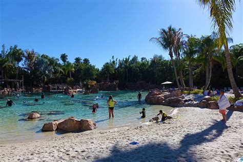 Why Discovery Cove Is One of Orlando's Top Attractions