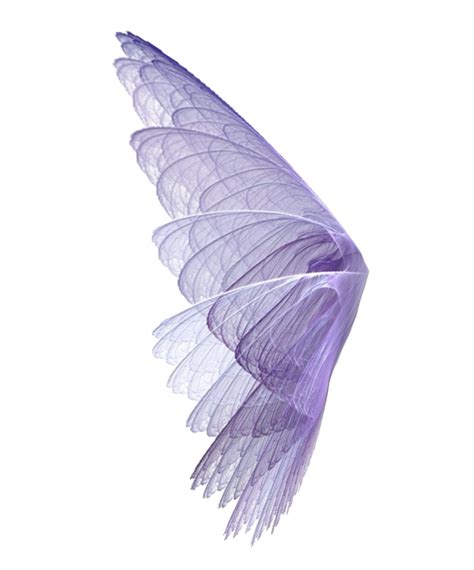 Realistic Fairy Wings Png Picture