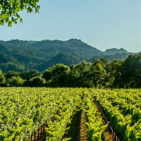 10 best wineries to visit near Napa | Winetourism.com