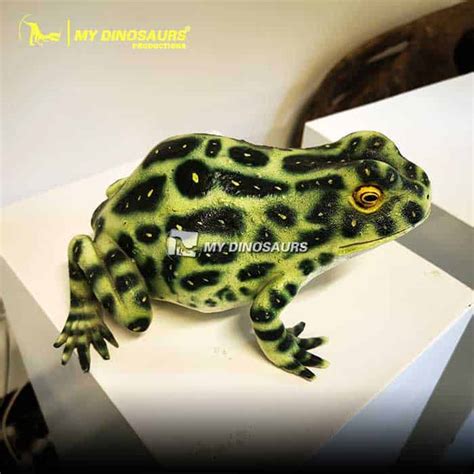 FDF-057 Life Size Fiberglass Devil Frog Statue | My Dinosaurs