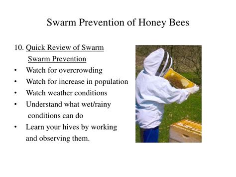 Swarm Prevention For Honey Bees