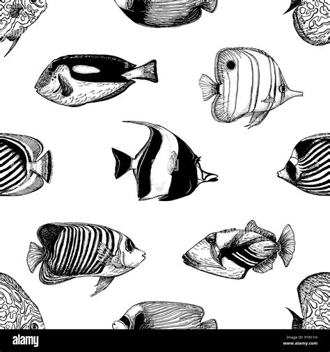 Seamless pattern of hand drawn sketch style tropical fish isolated on white background. Vector ...