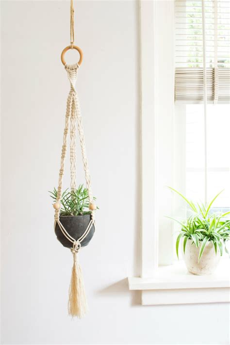 Plantas colgantes - ideas para el interior