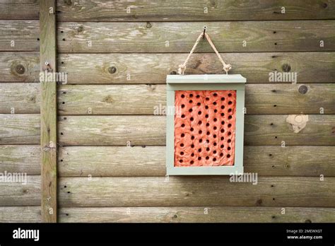 Bee hotel - Clay Stock Photo - Alamy