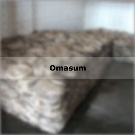 Omasum - Omasum Exporter, Manufacturer & Supplier, Hapur, India