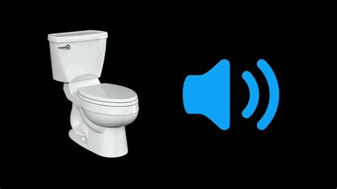 Toilet Flush Sound Effect (HD) | Free Sounds - YouTube