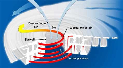 Hurricane formation Diagram | Quizlet