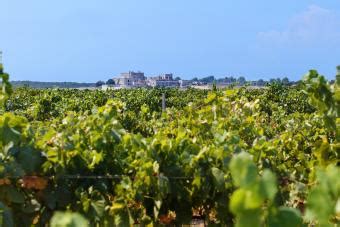 Tips for Taking Puglia Wine Tours | LoveToKnow