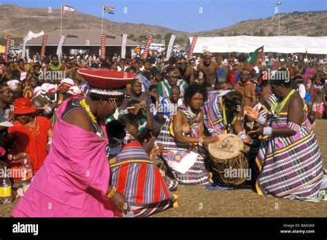 Reed dance hi-res stock photography and images - Alamy