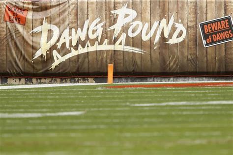 Browns Unveil Finalists For Dawg Pound Logo