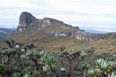 Mount Elgon National Park – Silverbird Travel Safari Blog