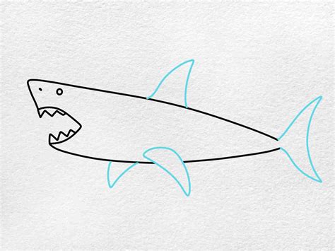 How to Draw a Megalodon - HelloArtsy