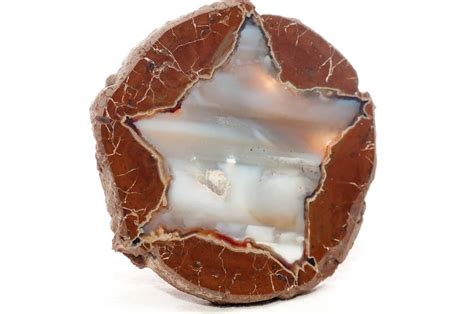 How to Cut & Polish Thundereggs: Follow These 6 Simple Steps – How to Find Rocks