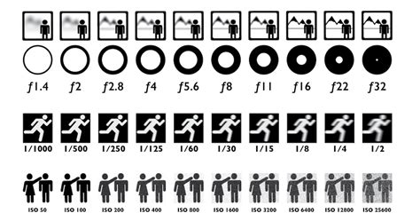 ISO Easy! Underwater Photography Camera Settings Explained