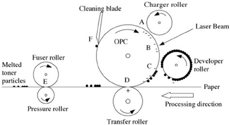 Electrophotographic process: cross-section of a typi- cal laser printer... | Download Scientific ...