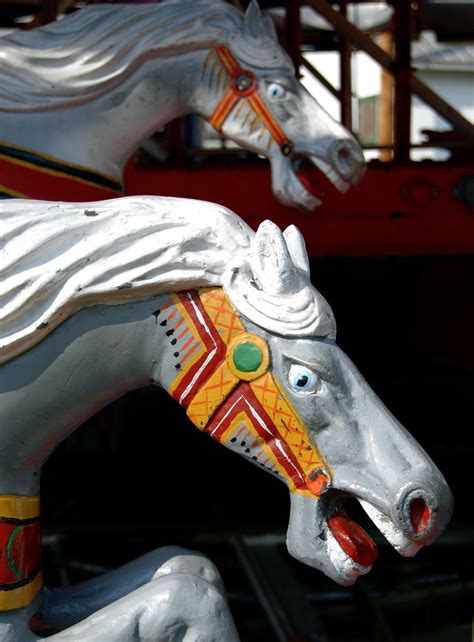 Carousel horses 2 Free Photo Download | FreeImages