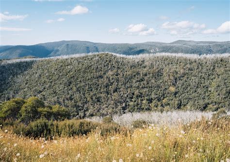 Day Hike at Hotham: Mt Hotham Huts Walk - Beyond Wild Places