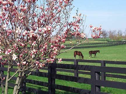 Lexington KY Horse Farm - Lexington Kentucky Farms For Sale - Fayette ...