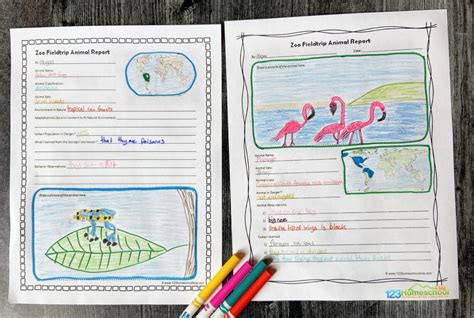 🐘 FREE Zoo Field trip Worksheet and Animal Reports