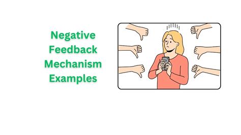 Negative Feedback Mechanisms Examples in Biological Systems