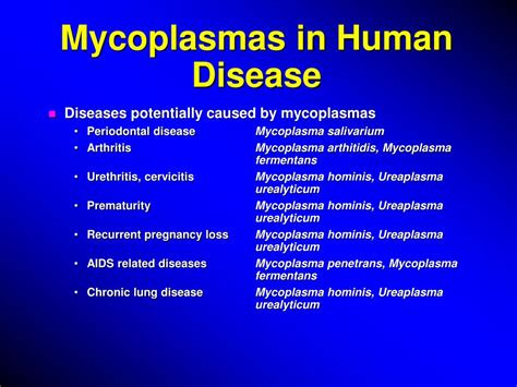 PPT - Genital Mycoplasmal Disease in the Newborn PowerPoint ...