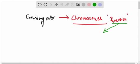 Chromosome Variation | Genetics: A Conceptual Ap…