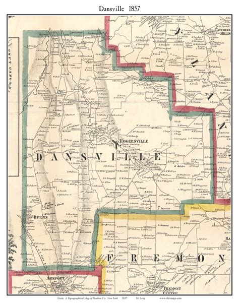 Dansville, New York 1857 Old Town Map Custom Print - Steuben Co. - OLD MAPS