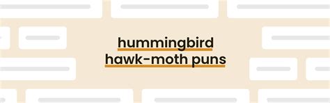 Hummingbird Hawk-moth Puns - Best Hummingbird Hawk-moth Puns for 2024 - PunPress