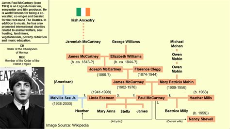 Paul McCartney Family Tree : r/UsefulCharts