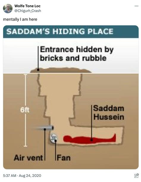 Saddam Hussein Hiding Place Memes