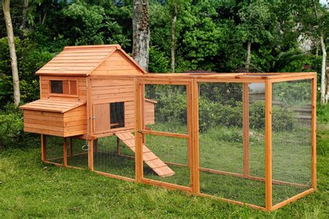 The Rhode Island Homestead 10-15 Chickens! | Building a chicken coop, Portable chicken coop ...