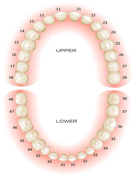 Submit A Case - Full Arch Mill Dental Services