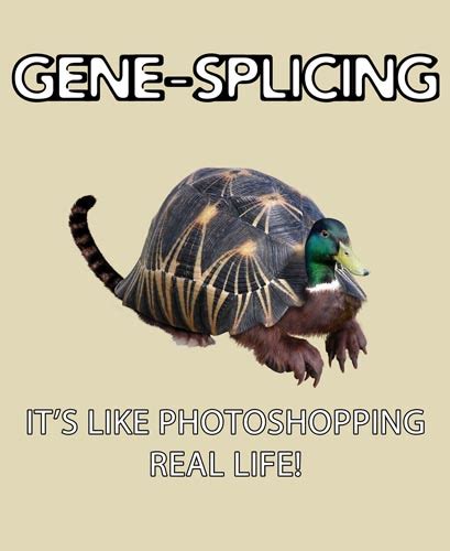 Gene-Splicing by XopherTAF on DeviantArt