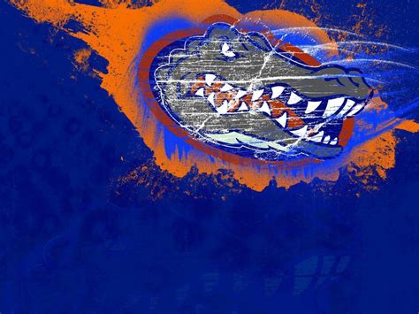 Florida Gators Football Wallpapers - Wallpaper Cave