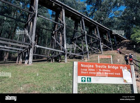 Noojee trestle bridge,walking trail, Victoria, Australia Stock Photo ...