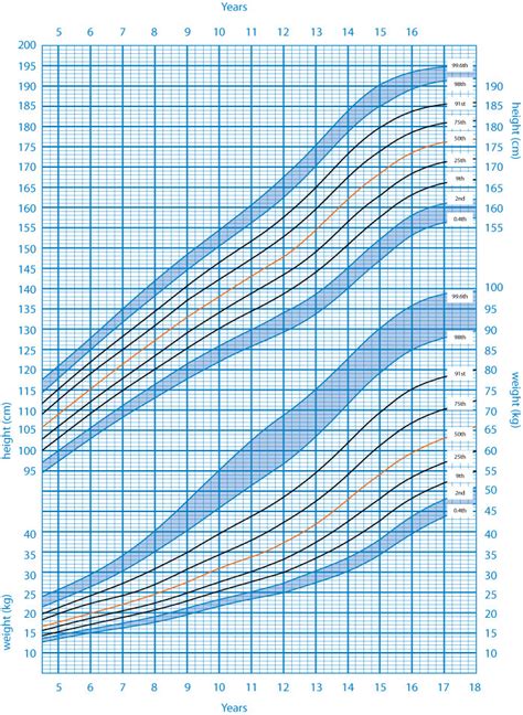 plot - Creating centile charts in R - Stack Overflow