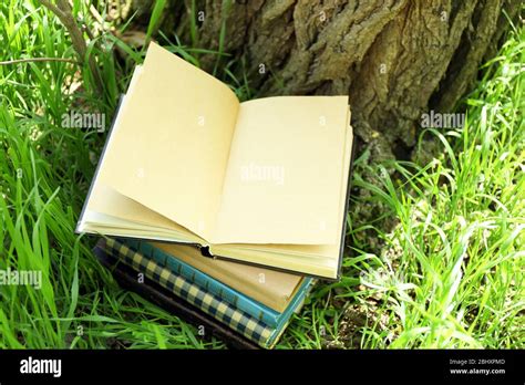 Stacked books in grass, outside Stock Photo - Alamy
