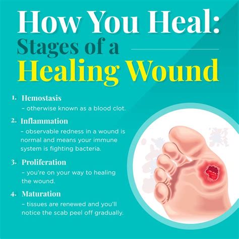 Abrasion Wound Diagram