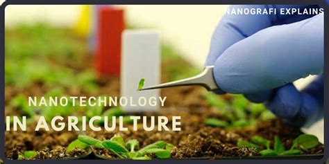 Nanotechnology in Agriculture - Nanografi Nano Technology