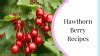 Hawthorn berry recipes - My Nature Nook