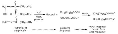 Chapter 7 - Lipids - CHE 120 - Introduction to Organic Chemistry ...