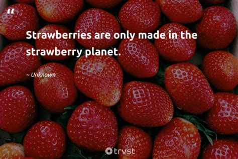 85 Strawberry Quotes To Freshen And Sweeten Your Day