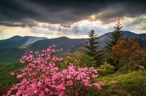 North Carolina Blue Ridge Parkway Spring Flowers Scenic Landscape Asheville NC Photograph by ...