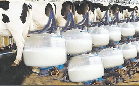 High costs, poor funding subdue milk production -Newsday Zimbabwe