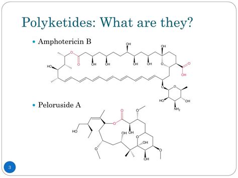 PPT - Polyketide Synthesis PowerPoint Presentation, free download - ID ...