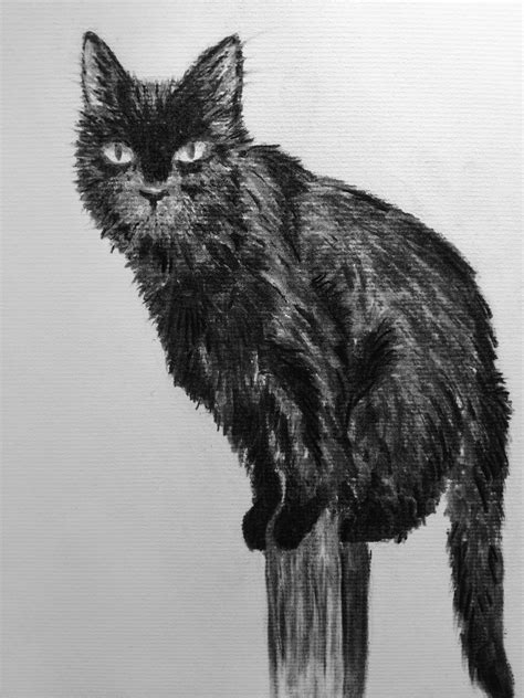 A black cat in charcoal for October and Halloween. Critique welcome! : r/drawing