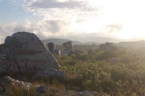 TABLE MOUNTAIN WILDLIFE - UHM, WHERE IS IT? - The Fynbos Guy