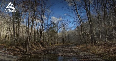 Best hikes and trails in Versailles State Park | AllTrails