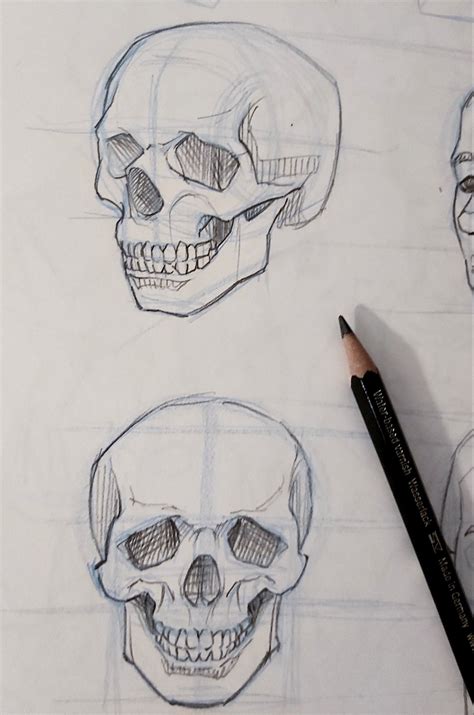 Skull Drawing | Easy skull drawings, Skull drawing, Skull drawing sketches