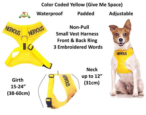 Nervous Dog Harness Meme | ubicaciondepersonas.cdmx.gob.mx